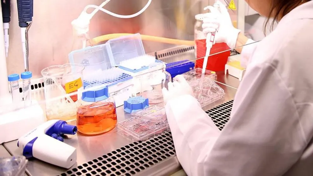 Araştırmacılardan Şaşırtıcı Sonuç: Stresli Moleküller Ömrü Uzatıyor