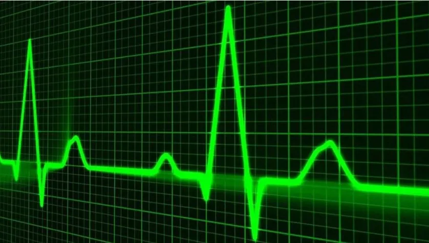 Hayatını kaybeden 4 kişinin, kalp ve damar hastalıklarına bağlı yaşamını yitirdiği tespit edildi