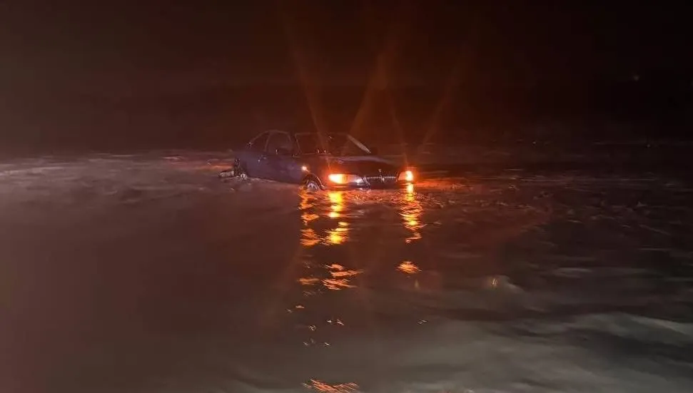 Peyzaj Mimarları Odası: Yaşadığımız şey doğanın değil insanın afetidir