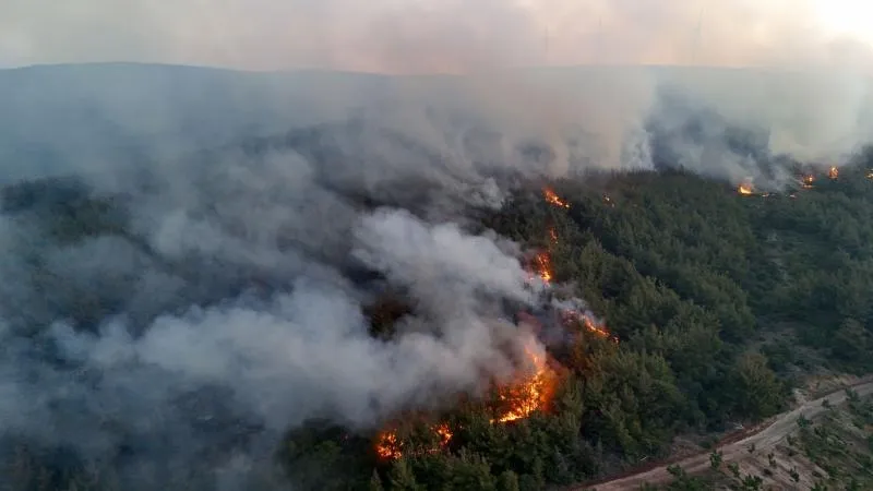  Tunç: “Orman yangınlarıyla ilgili 39 kişi tutuklandı”