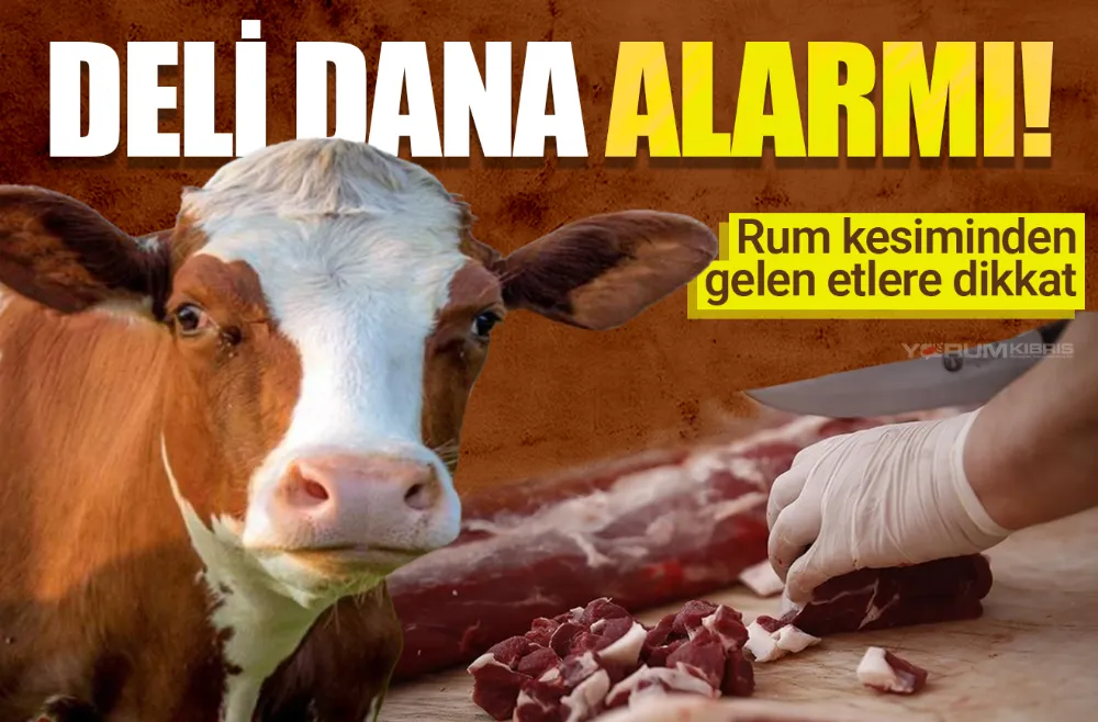 Deli dana endişesi: İthal etler mercek altında