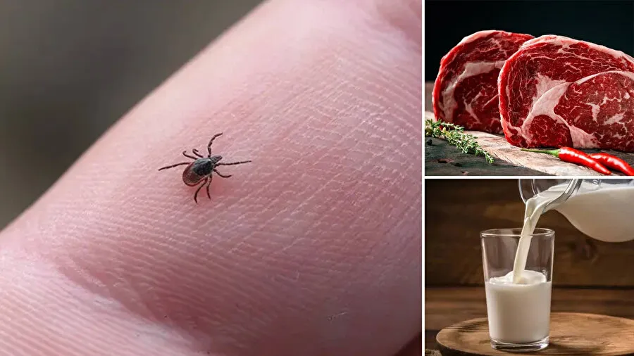 Et ve süt ürünlerine karşı alerji yapan hastalık dünyaya yayılıyor